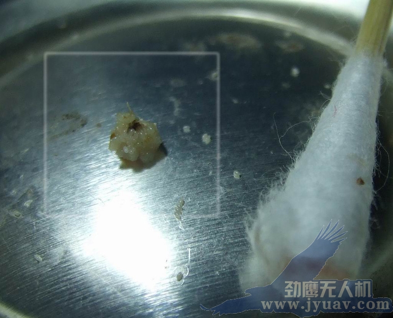 &#20048;&#21160;&#23448;&#26041;&#31471;&#32593;&#39029;&#29256;&#45;&#20048;&#21160;&#40;&#20013;&#22269;&#41;